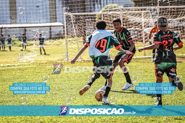 Foto 7105238