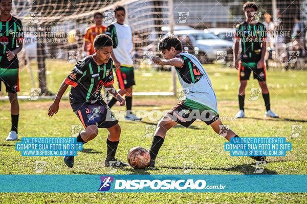 Foto 7105246