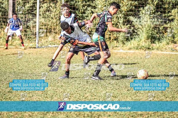 Foto 7105241