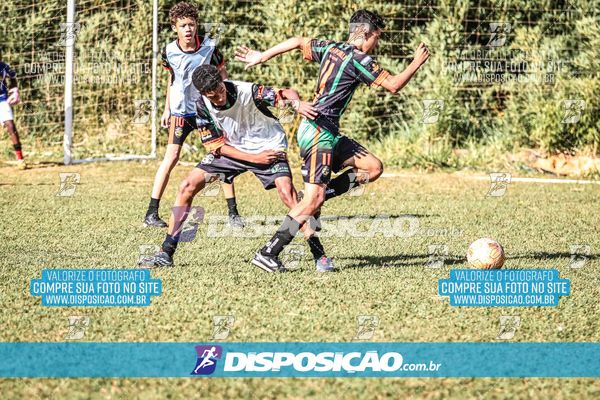 Foto 7105245