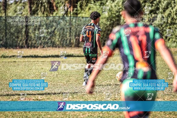 Foto 7105247