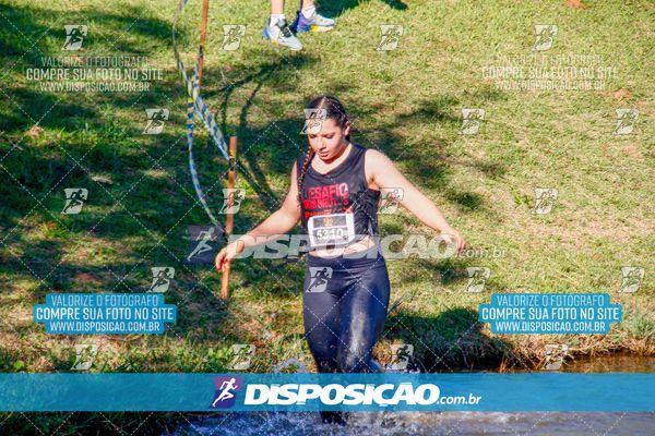 Foto 7140347