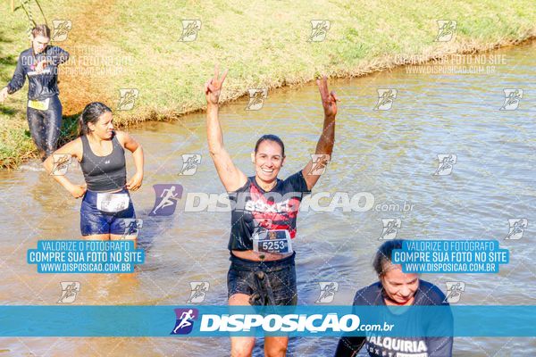 Foto 7140639