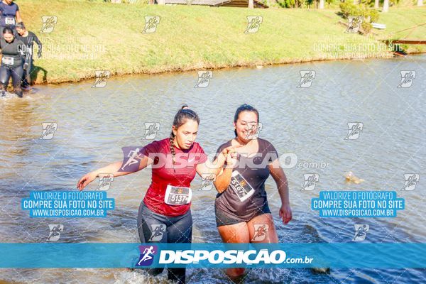 Foto 7140890