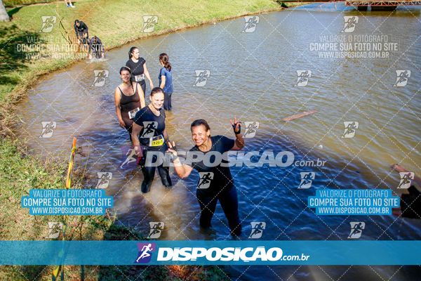 Foto 7140978