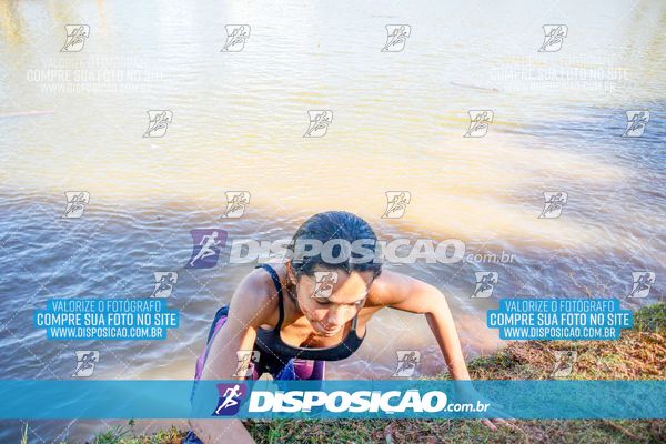 Foto 7141001
