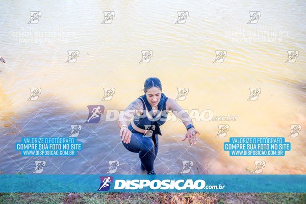 Foto 7141083