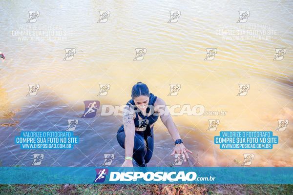 Foto 7141084