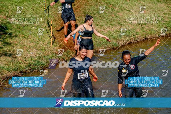 Foto 7141095