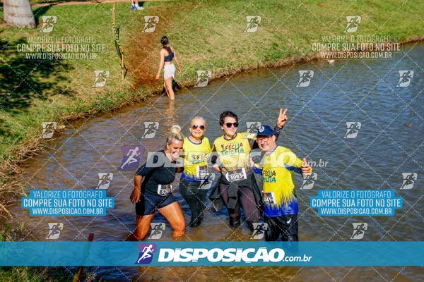 Foto 7141149