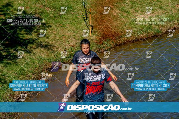Foto 7141153