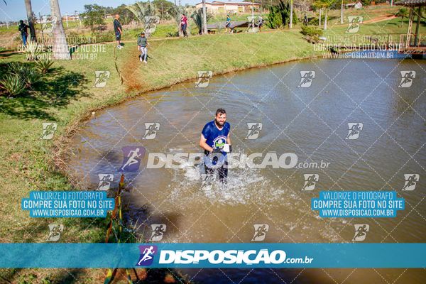 Foto 7141174