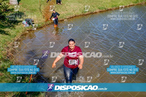 Foto 7141187