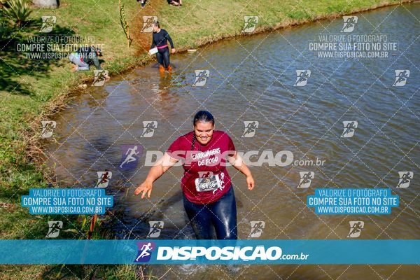 Foto 7141189