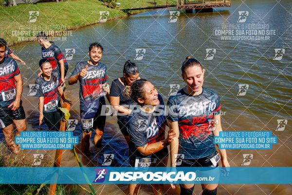Foto 7141248