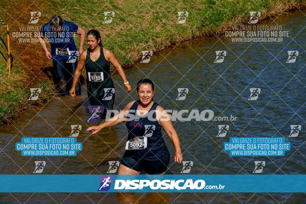 Foto 7141292