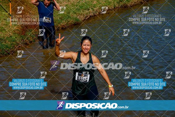 Foto 7141294