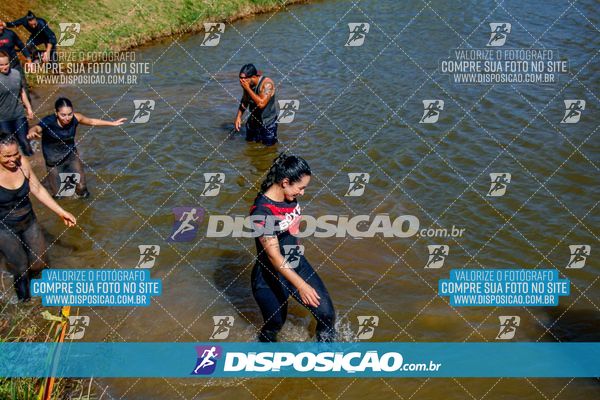 Foto 7141306