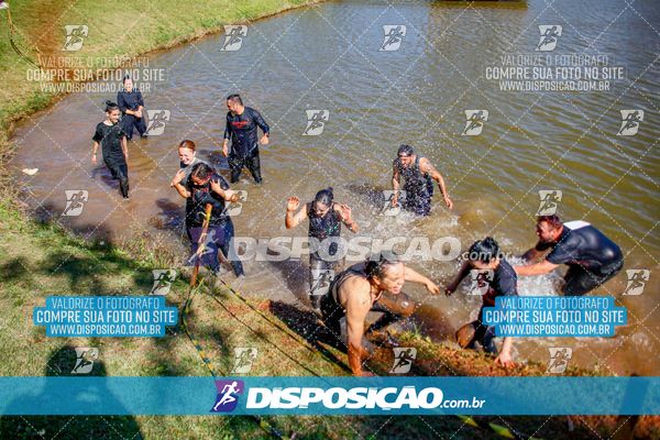 Foto 7141311