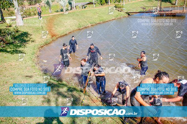 Foto 7141317