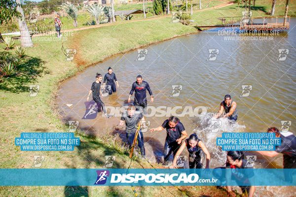Foto 7141318