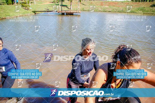 Foto 7141336