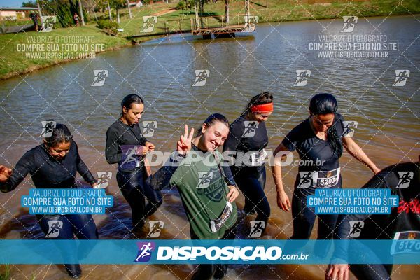 Foto 7141343