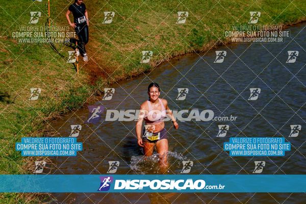 Foto 7141414
