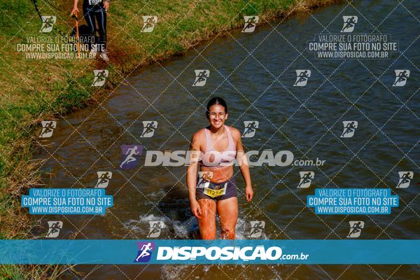 Foto 7141417