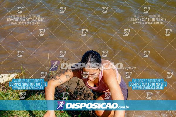 Foto 7141425