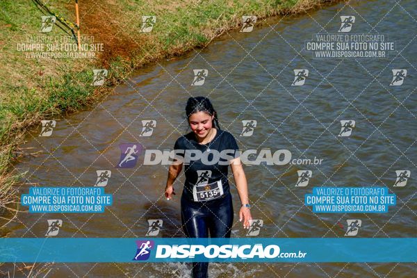 Foto 7141421