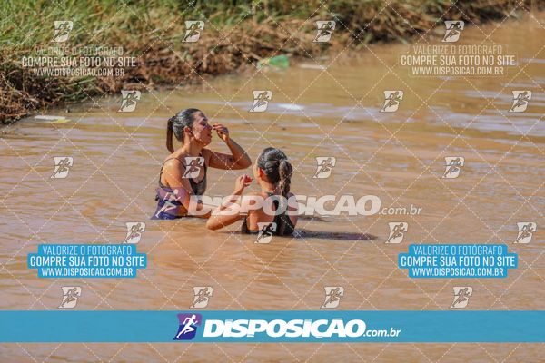 Foto 7132454