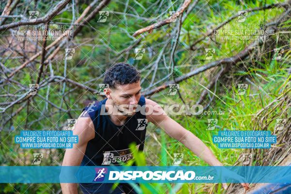 Foto 7107204