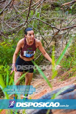Foto 7107628