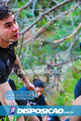 Foto 7108061