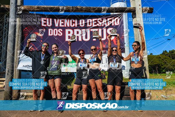 Foto 7117675