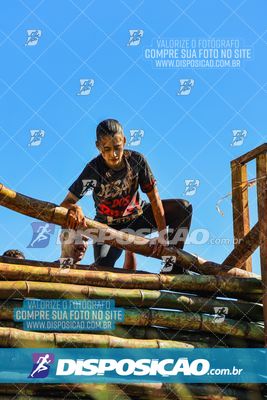 Foto 7118958