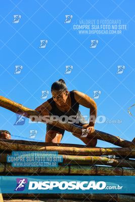Foto 7118988