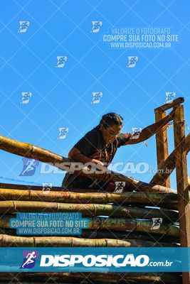 Foto 7119016