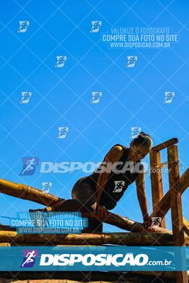 Foto 7119077