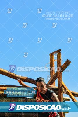 Foto 7119112