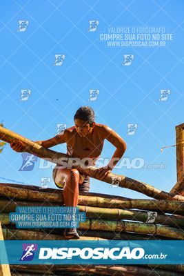 Foto 7119151