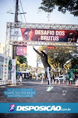 Foto 7109326