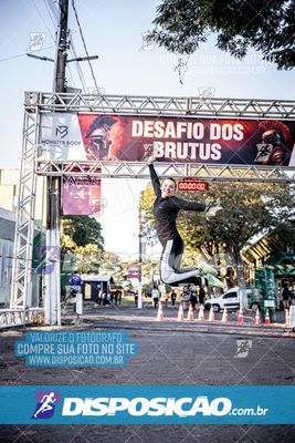 Foto 7109330
