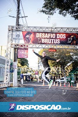 Foto 7109335