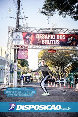 Foto 7109337