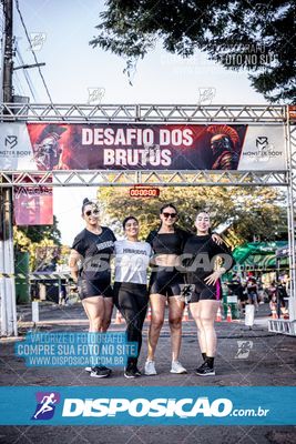Foto 7109604