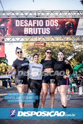 Foto 7109611