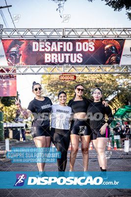 Foto 7109614