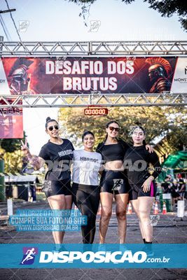 Foto 7109616